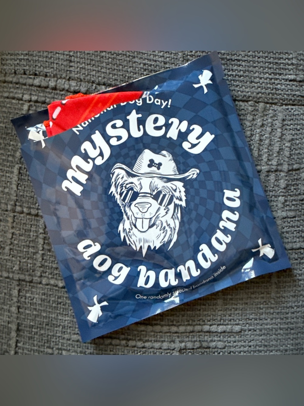 Dutch Bros Dog Bandana August National Dog Day 2026 - Red Bandana
